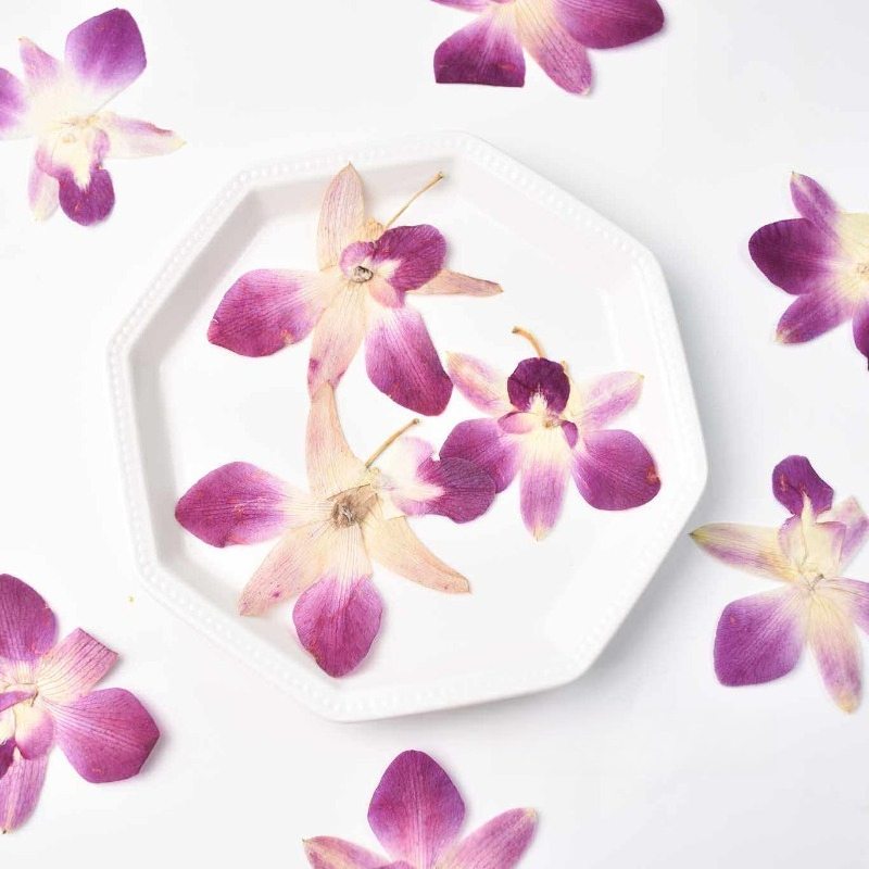 4 szt., Prawdziwe, prasowane k – Resin Craft Ideas recenzja i cena